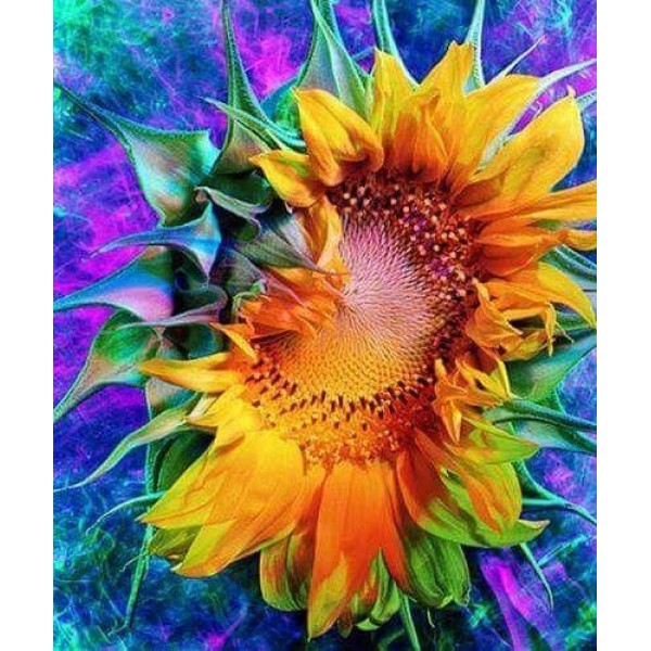 Oil Painting Sunflower