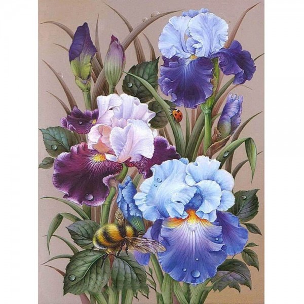 Iris Flowers